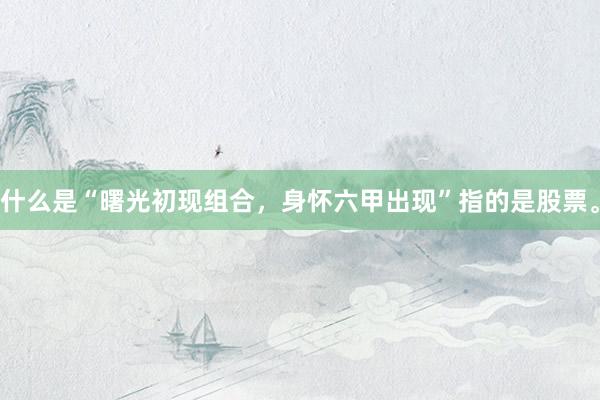 什么是“曙光初现组合，身怀六甲出现”指的是股票。