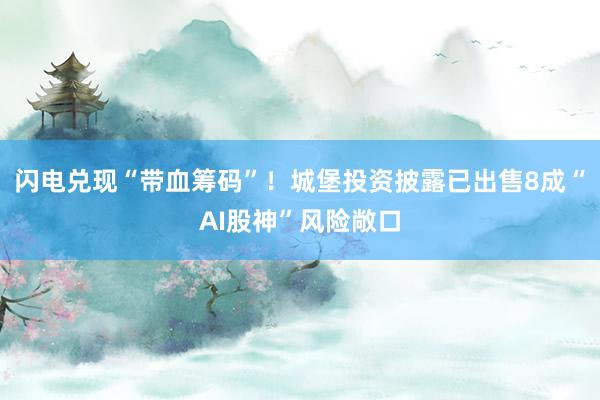 闪电兑现“带血筹码”！城堡投资披露已出售8成“AI股神”风险敞口