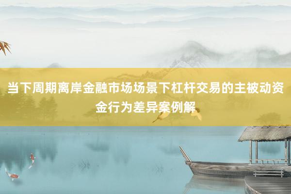 当下周期离岸金融市场场景下杠杆交易的主被动资金行为差异案例解