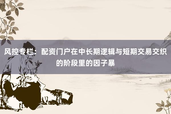 风控专栏：配资门户在中长期逻辑与短期交易交织的阶段里的因子暴