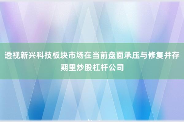 透视新兴科技板块市场在当前盘面承压与修复并存期里炒股杠杆公司