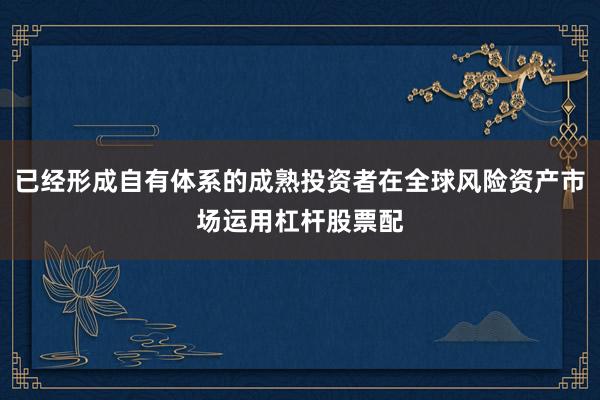 已经形成自有体系的成熟投资者在全球风险资产市场运用杠杆股票配