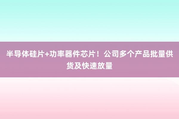 半导体硅片+功率器件芯片！公司多个产品批量供货及快速放量