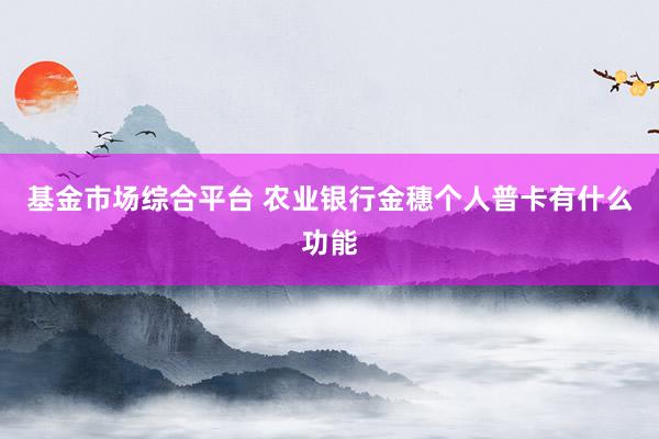 基金市场综合平台 农业银行金穗个人普卡有什么功能