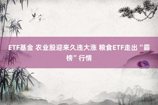 ETF基金 农业股迎来久违大涨 粮食ETF走出“霸榜”行情