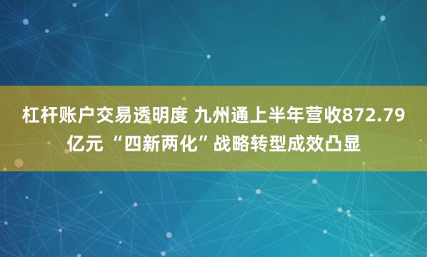 杠杆账户交易透明度 九州通上半年营收872.79亿元 “四新两化”战略转型成效凸显