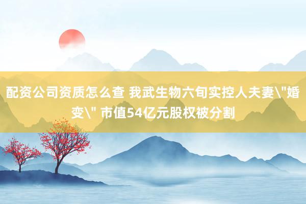 配资公司资质怎么查 我武生物六旬实控人夫妻＂婚变＂ 市值54亿元股权被分割