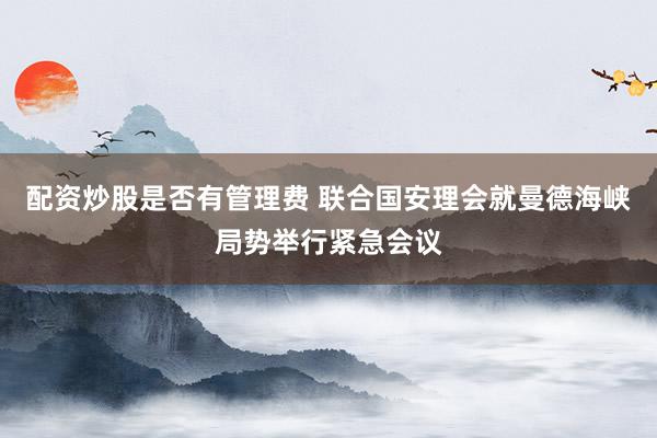 配资炒股是否有管理费 联合国安理会就曼德海峡局势举行紧急会议