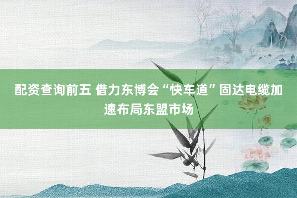配资查询前五 借力东博会“快车道”固达电缆加速布局东盟市场