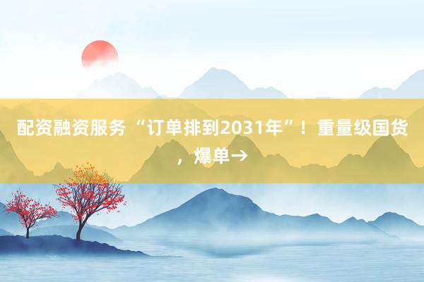 配资融资服务 “订单排到2031年”！重量级国货，爆单→